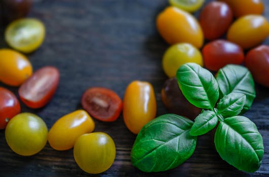 colorful vegetable garden with tomatoes and basil