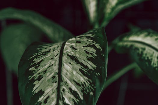 simple indoor herb garden