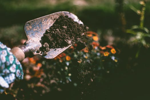 image of a gardener using a trowel