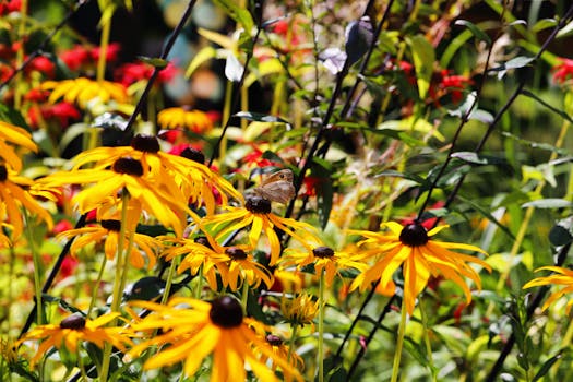 colorful flowers attracting pollinators
