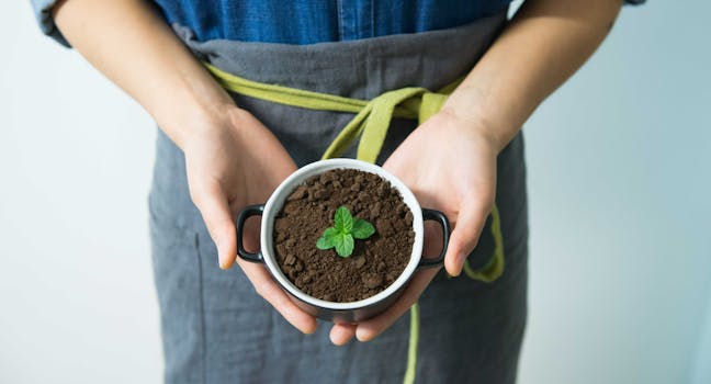 plant care checklist