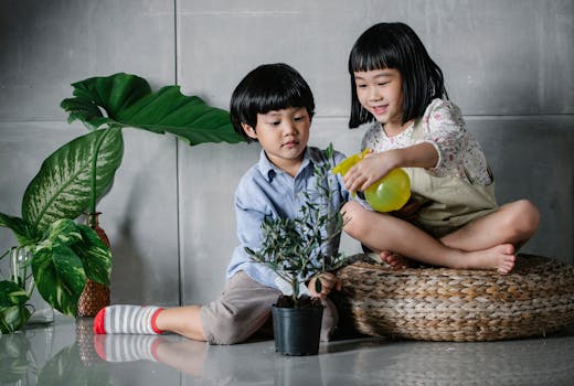 indoor plant care tips