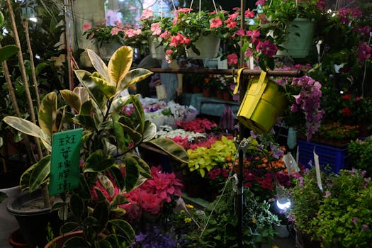 indoor garden with various plants
