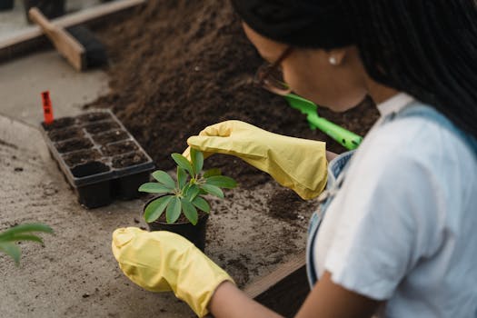 urban gardener tending to indoor plants