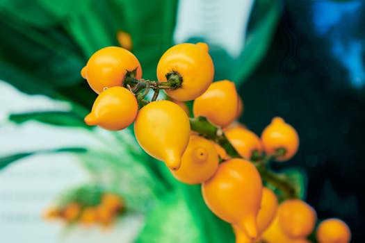 a lush garden combining fruits and flowers