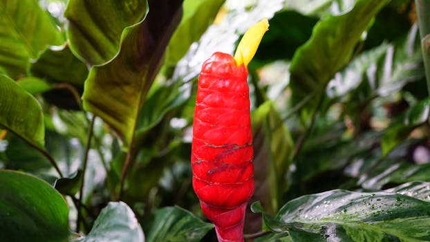 image of a thriving indoor garden