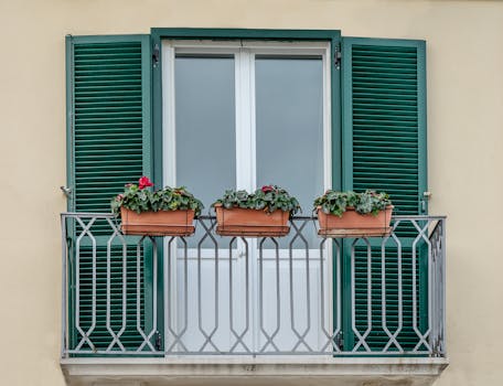 image of various plants suitable for apartment gardening